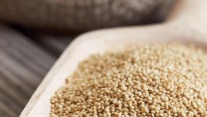  Amaranth seeds: what they contain, how to use and cook?