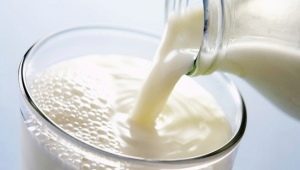  How long does kefir digest?