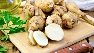  Jerusalem artichoke: the benefits and harm, healing properties and rules of use