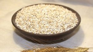  Barley grain: from what cereal do and how to cook?