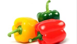  Bulgarian pepper: cultivation in an open ground and the greenhouse