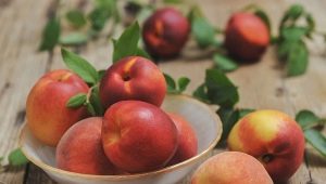  How is nectarine different from peach?