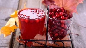  The benefits and harm of lingonberry juice