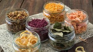  Dried vegetables: the benefits, harm and use in cooking