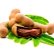  Tamarind (tamarind)