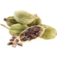  Cardamom