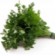  Parsley