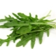  Arugula (arugula)