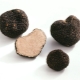  Truffle