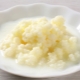  Cendawan susu (kefir tibetan)