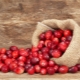  Cranberries for the kidneys: the pros and cons