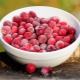 Frozen lingonberries: useful properties, recipes