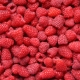  Raspberry Heritage: Characteristics and Landing Rules