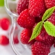  Raspberry during pregnancy and breastfeeding: the benefits and harm