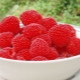  Norwegian raspberry: variety characteristics and planting characteristics