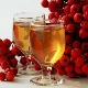  Secrets of cooking rowan wine