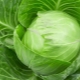  White cabbage: chemical composition and KBD