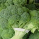  Broccoli: composition, calorie and cooking features