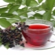  Currant tea: the benefits and harm, tips on collecting and cooking