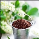  Bird-cherry flour: recipes, benefit and harm