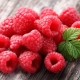  Raspberry: useful properties and contraindications