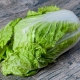  Chinese cabbage: what is good and how much calories?