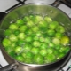  How many minutes do you need to cook Brussels sprouts and how to cook it?