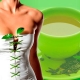  Green tea: how much calories and how to drink it for harmony?