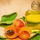  Apricot oil: useful properties and rules of use