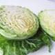  White cabbage: chemical composition, benefit and harm, recipes