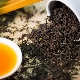  Assam tea: varieties and secrets of the drink