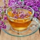  Tea with oregano: the benefits and harm to health