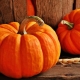  How to cook pumpkin garnish?