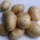  How to grow potato varieties Nevsky?