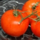  How to grow tomato Honey?