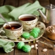  Which tea is more useful: black or green?