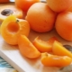  Caloric and chemical composition of apricots