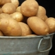  Potato Elizabeth: variety description and cultivation features