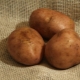  Potatoes Elmundo: variety description and cultivation