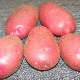  Kamensky potato: variety description and cultivation