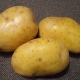  Crohn's Potatoes: Description and Cultivation Rules