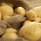  Lasock potatoes: description of the variety and subtleties of cultivation