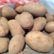  Lady Claire's Potatoes: Characteristics and Features of Cultivation