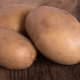  Potatoes Vector: characteristics, care and cultivation