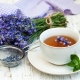  Lavender tea: useful properties and aromatic drink recipes