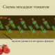  The main schemes of planting tomatoes in the greenhouse