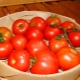  Features of a grade of tomatoes Sunrise F1