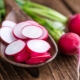  Why is radish bitter and what to do?