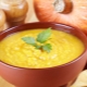  Secrets of cooking pumpkin puree