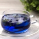  Blue tea: effects on the body and features brewing